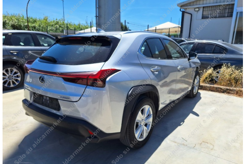 2021 Lexus UX 250h, Benzinas / Elektra